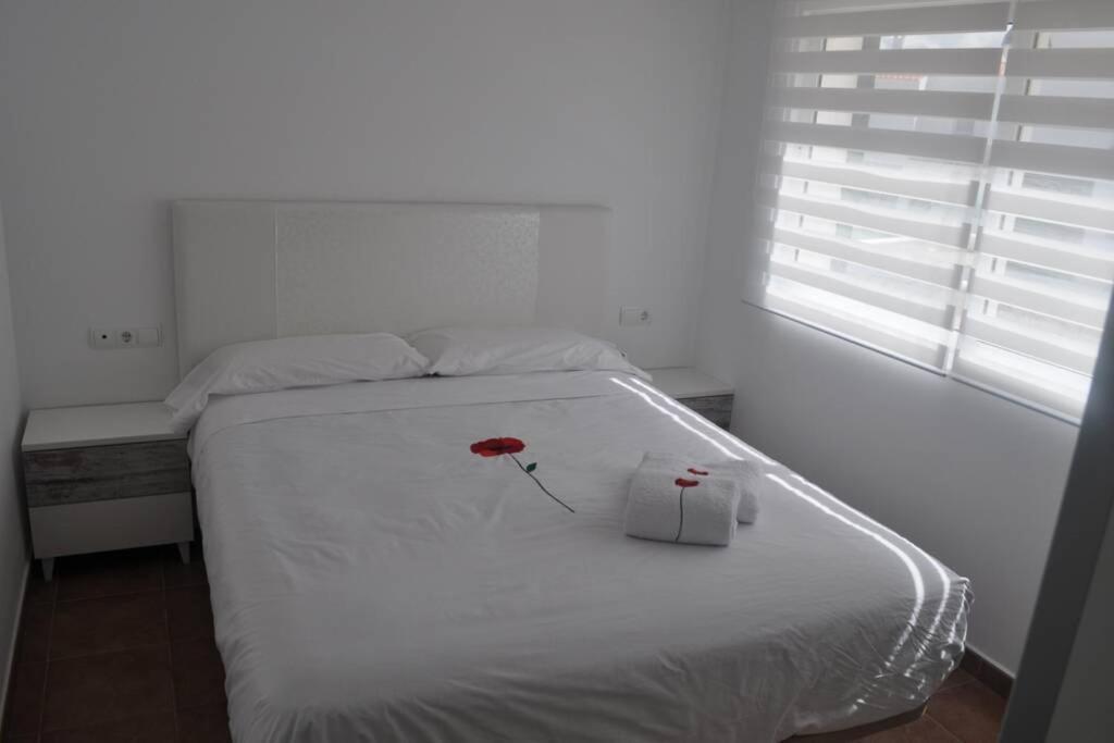 Villa Blanca 푼타 그로사 외부 사진